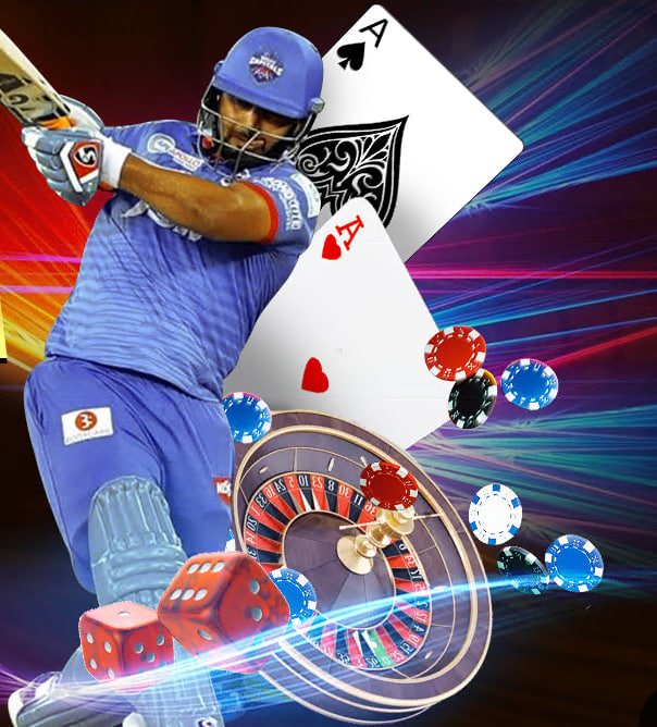 dpboss